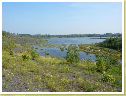 Rieulay_01.09.2011 (16)